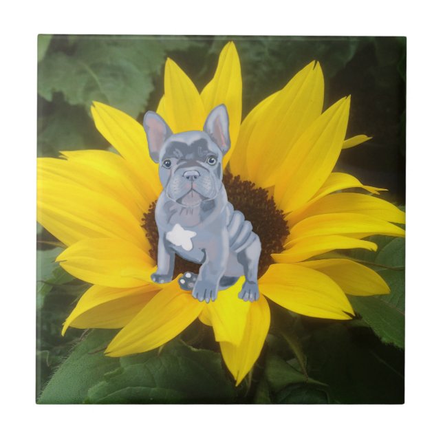 Blue Grey French Bulldog Puppy and Sunflower   Tile (Front)