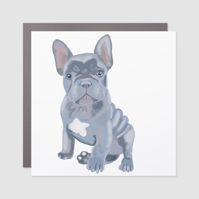 Blue Grey French Bulldog Puppy  Car Magnet (Front)