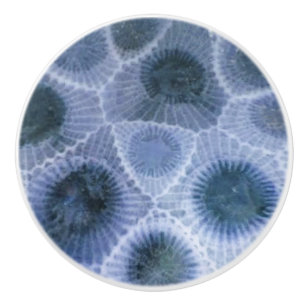 Blue Grey Petoskey Stone Ceramic Knob
