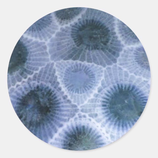 Blue Grey Petoskey Stone Stickers (Front)