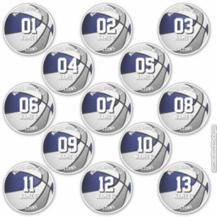 blue grey team colours 13 basketball players names