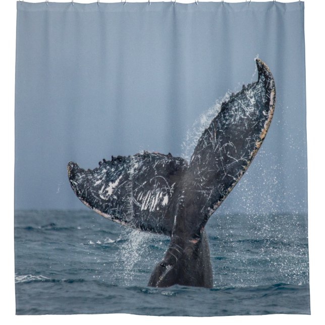 Blue Grey Whale Tale Ocean Sea Animal Shower Curtain (Front)
