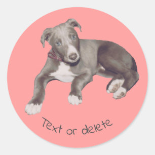 Blue Greyhound Puppy Personalised Classic Round Sticker