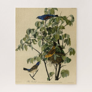 Blue Grosbeak from Audubon's Birds of America Jigsaw Puzzle