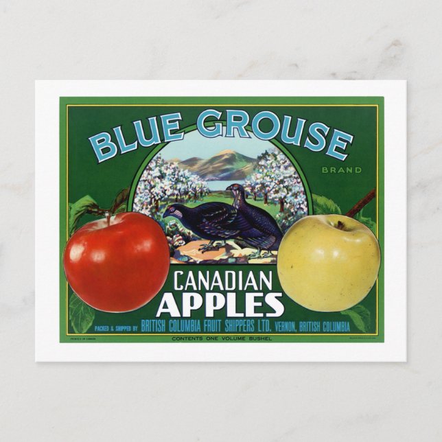 Blue Grouse Canadian Apples Postcard (Front)