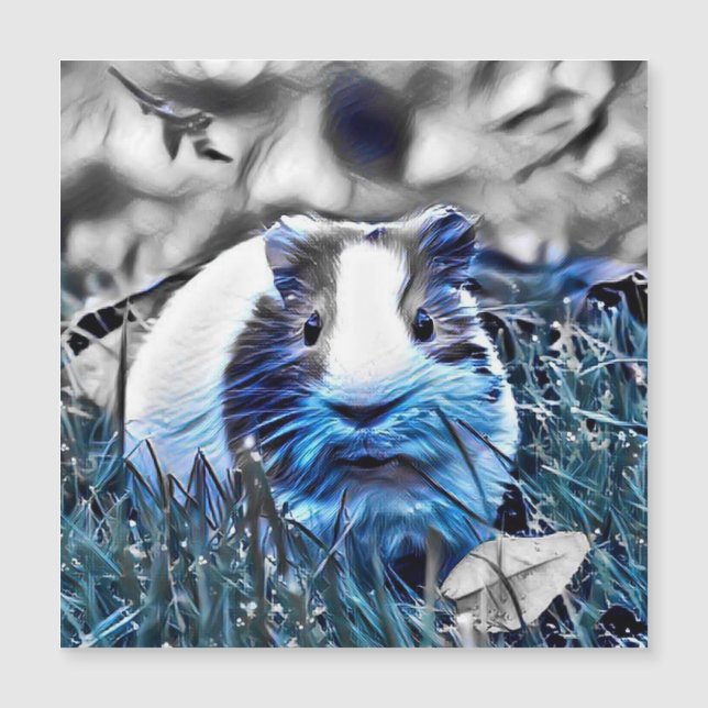 blue- guinea pig (Front)