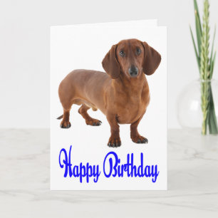Blue Happy Birthday Dachshund Puppy Dog Card