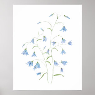 blue harebell flowers 2021 watercolor  poster