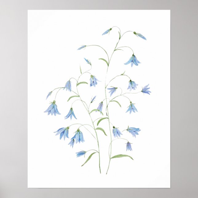 blue harebell flowers 2021 watercolor  poster (Front)