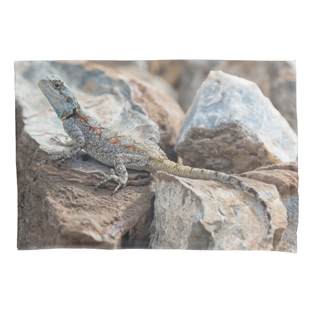 Blue headed Agama Pillowcase (Front)