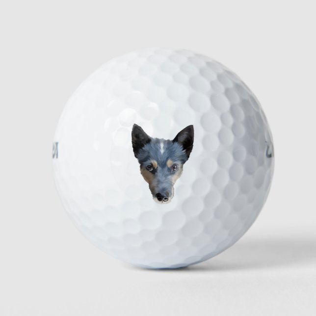 Blue Heeler / Australian Cattle Dog Golf Balls (Front)
