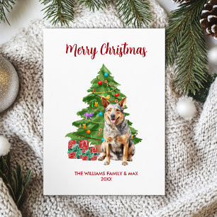 Blue Heeler Dog Family Christmas Holiday Card
