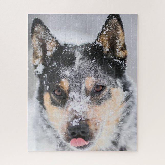Blue Heeler dog in the snow Jigsaw Puzzle (Vertical)
