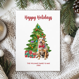 Blue Heeler Holiday Card