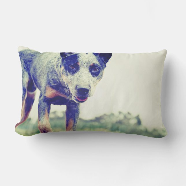 Blue Heeler Lumbar Cushion (Front)