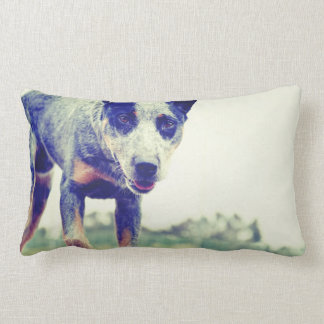 Blue Heeler Lumbar Cushion