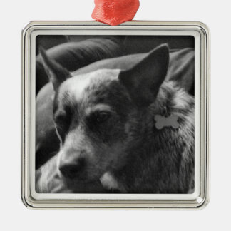 Blue Heeler Metal Tree Decoration