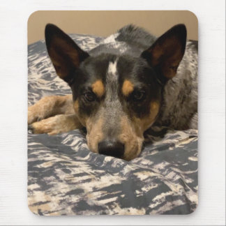 Blue Heeler Mouse Mat