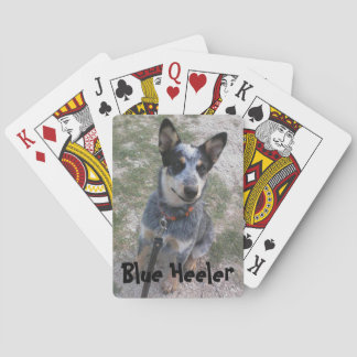 Blue Heeler playing card deck