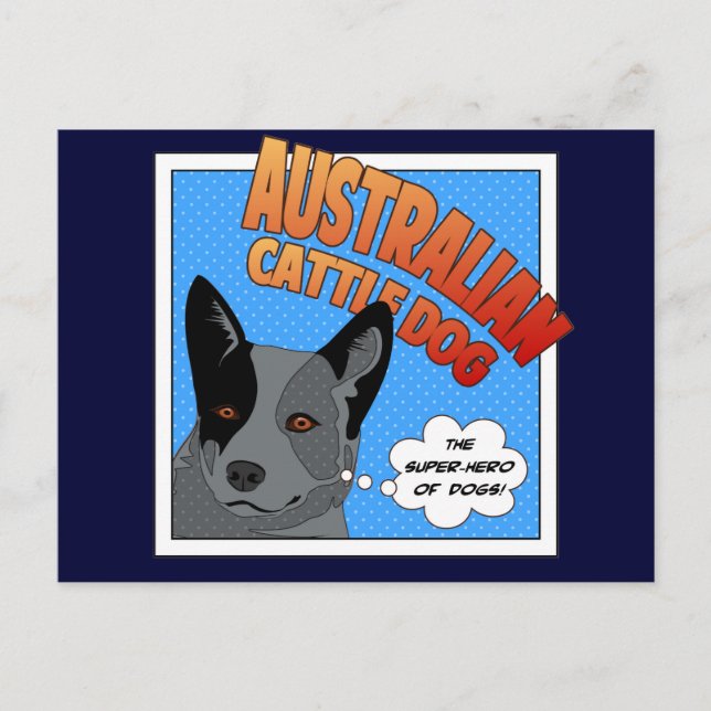 Blue Heeler Postcard (Front)