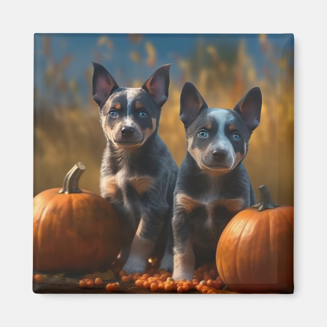 Blue Heeler Puppy Autumn Delight Pumpkin Magnet (Front)