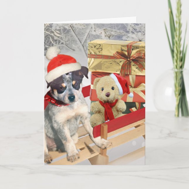Blue Heeler Wishes You A Merry Christmas Cards (Front)
