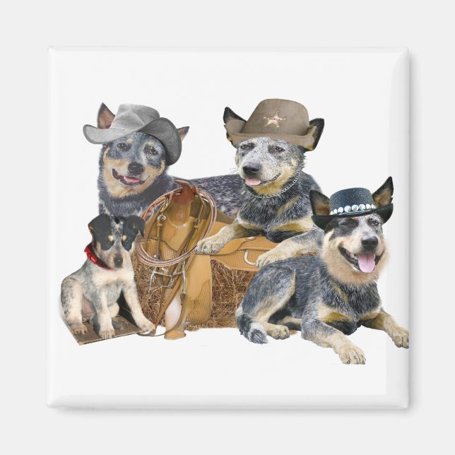 Blue Heeler's Go Western Magnets (Front)