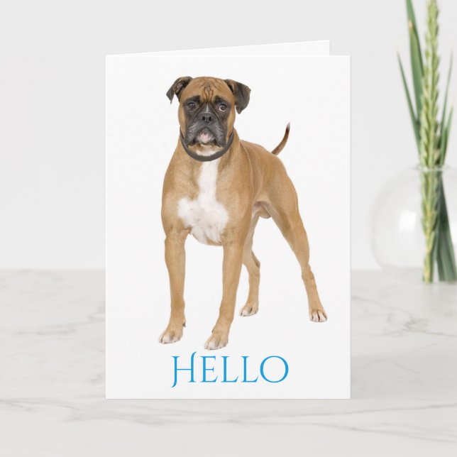 Blue Hello / Hi Boxer Puppy - Brown & White Dog Card (Front)