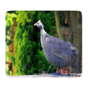 Blue Helmeted Guinea Fowl standing in the sun Cutting Board