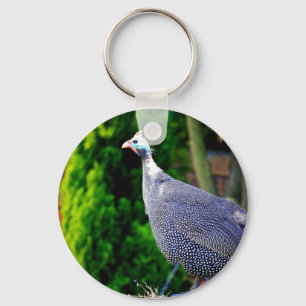 Blue Helmeted Guinea Fowl standing in the sun Key Ring