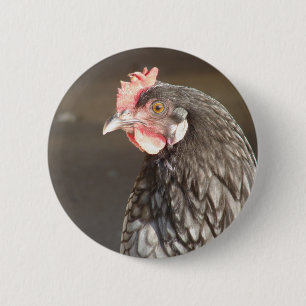 Blue Hen 6 Cm Round Badge