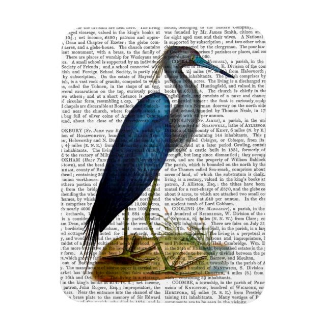 Blue Heron 3 2 Magnet (Vertical)