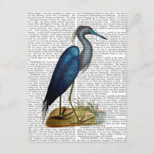 Blue Heron 3 2 Postcard