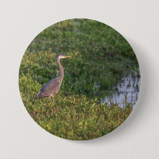 Blue Heron 7.5 Cm Round Badge (Front)
