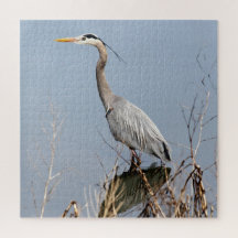 Blue Heron and Fern Hill Wetlands