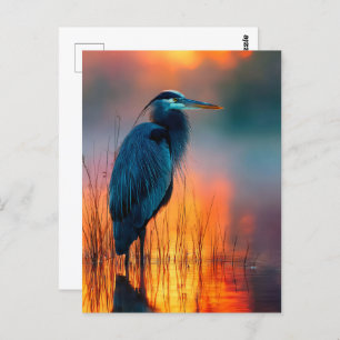 Blue Heron at Sunrise Postcard