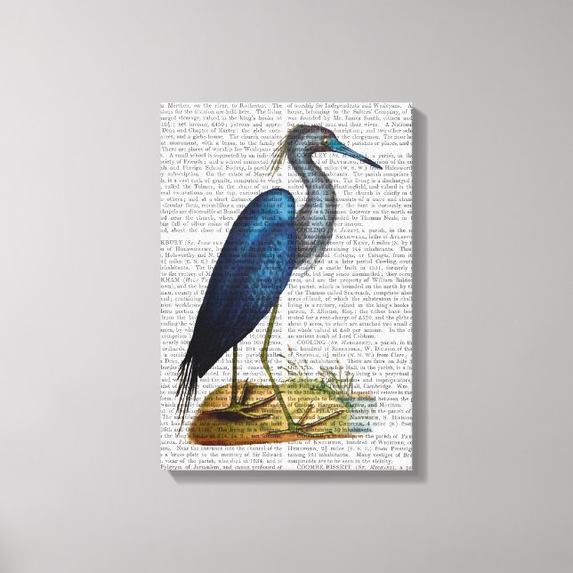 Blue Heron Canvas Print (Front)