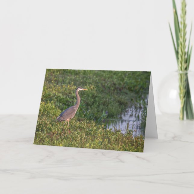 Blue Heron Greeting Card (Front)