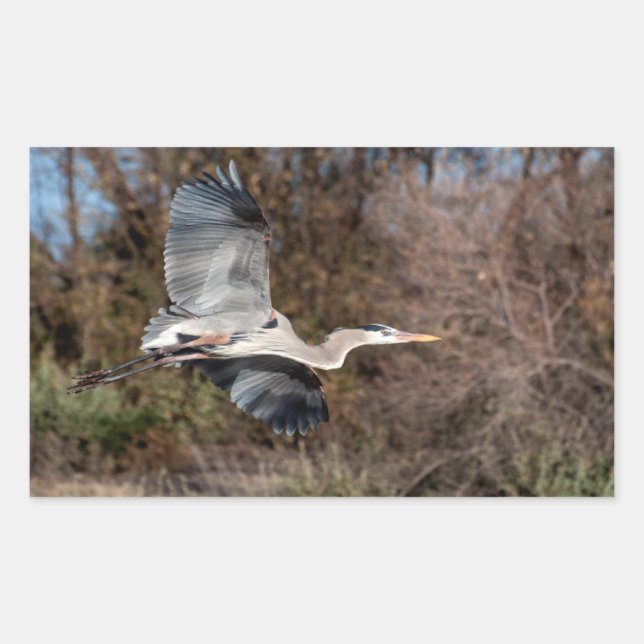 Blue Heron in flight Rectangular Sticker (Front)