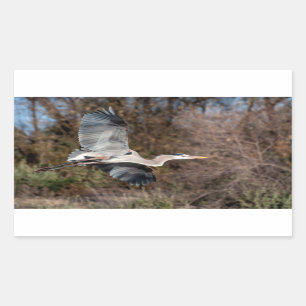 Blue Heron in flight Rectangular Sticker