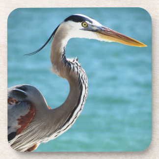 Blue Heron in Florida Coaster