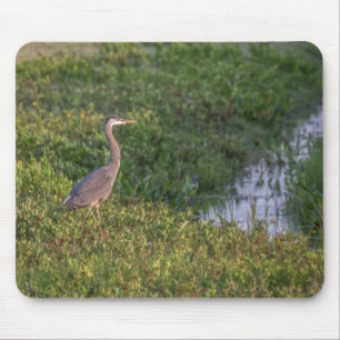 Blue Heron Mouse Mat
