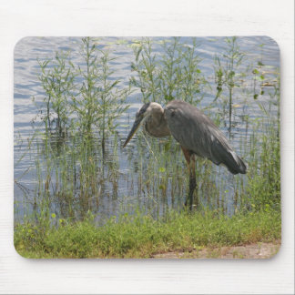 BLUE HERON MOUSEPAD