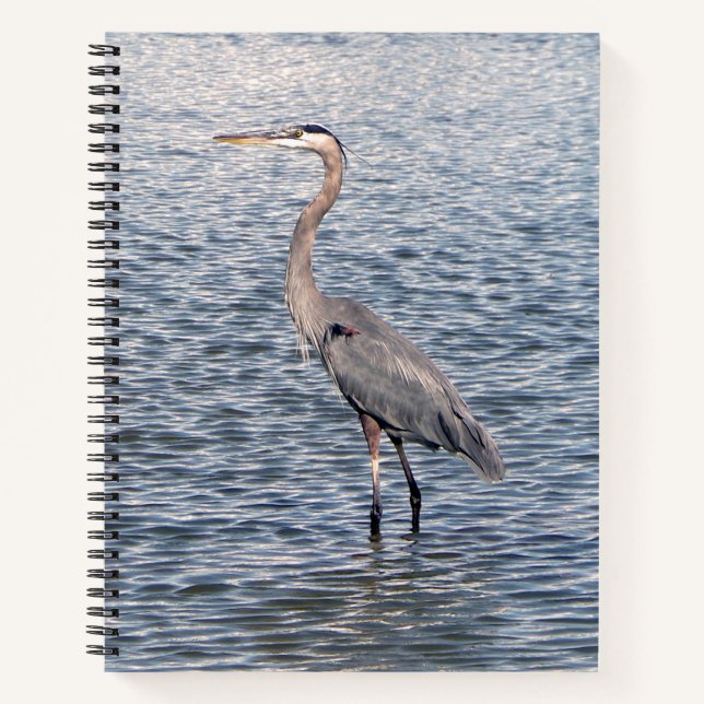 Blue Heron notebook (Front)