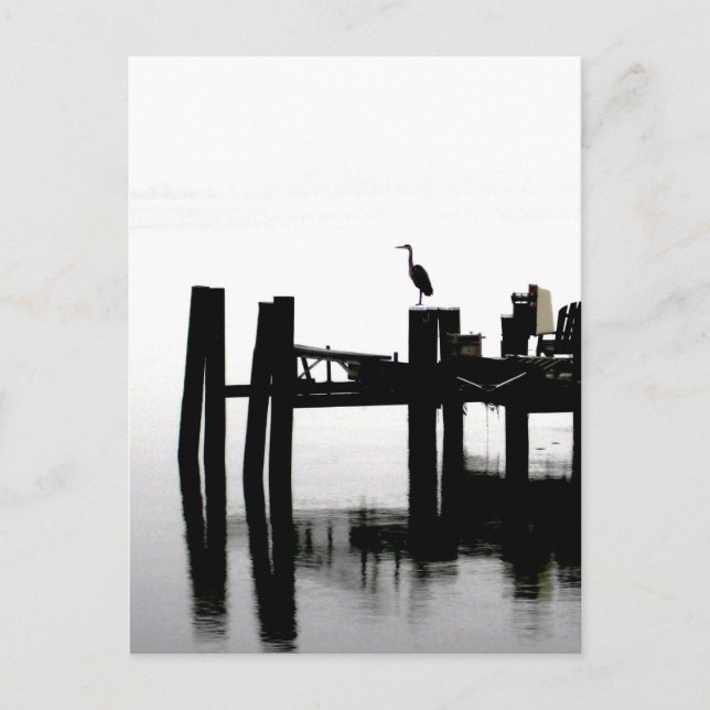 Blue Heron on a Grey Day Postcard (Front)