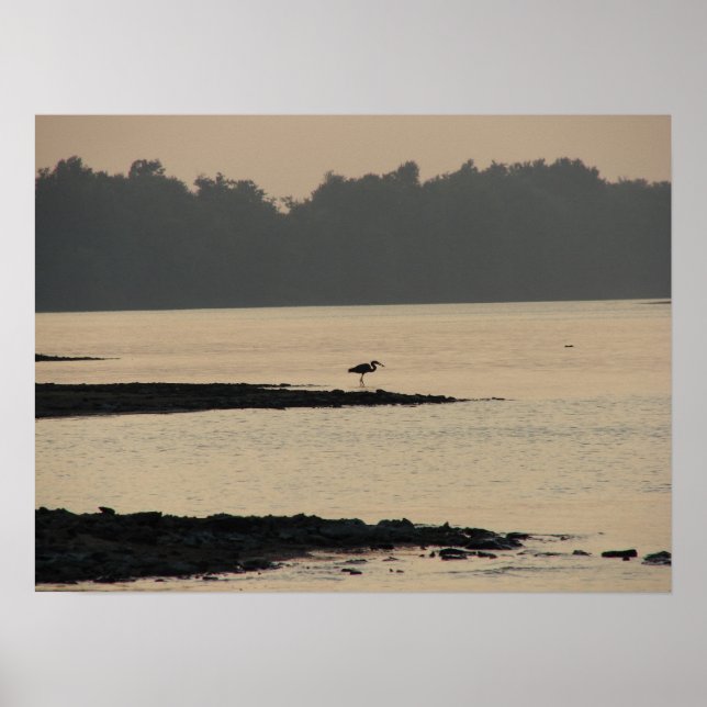 Blue Heron on the Mississippi River at Sunset Poster (Front)