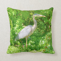 Blue heron, pond edge, pretty wild bird, green