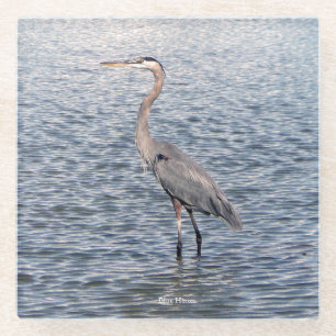 Blue Heron water glass coaster