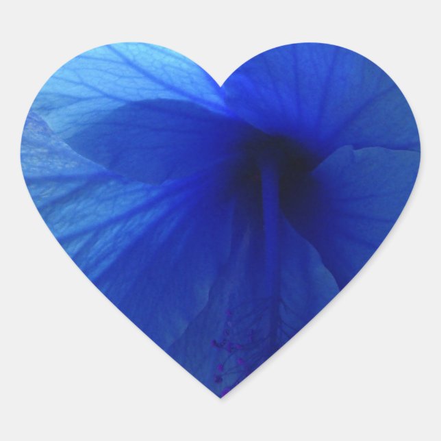Blue Hibiscus Flower Heart Sticker (Front)