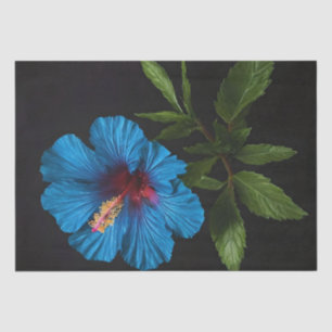 Blue Hibiscus Flower On Black, Decoupage Tissue Paper